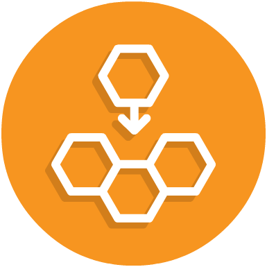 Excelsoft's ILT