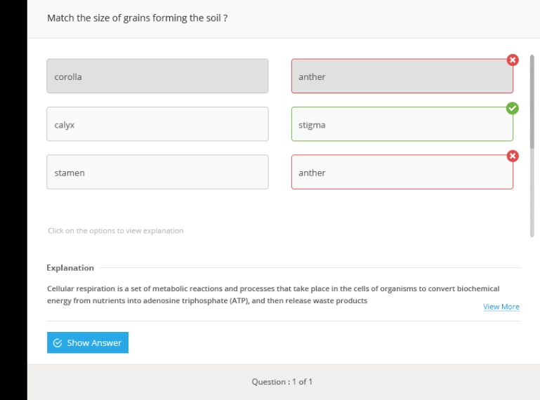 OpenPage QuickAuthor: Helps to author and add assessments